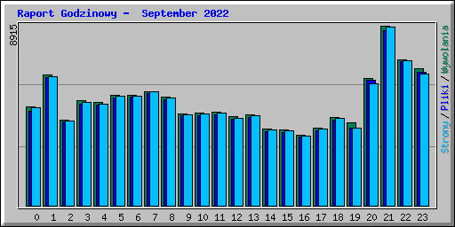 Raport Godzinowy -  September 2022